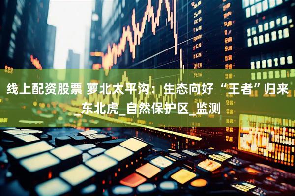 线上配资股票 萝北太平沟：生态向好 “王者”归来_东北虎_自然保护区_监测